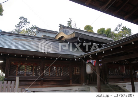 京都 宗忠神社の桜風景 京都 宗忠神社の桜風景 137678807
