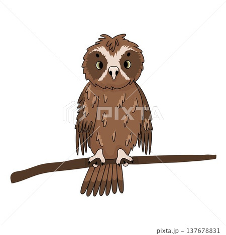 Cute vector brown owl mopoke cartoon perched on branch isolated on white background. Hand drawn illustration 137678831