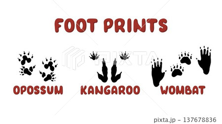 Australian animal footprints set with opossum kangaroo and wombat tracks icons. Vector isolated illustrations of silhouettes of paws 137678836
