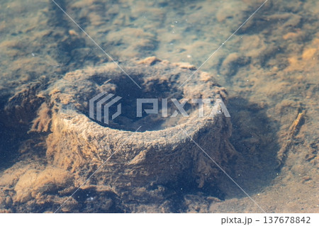 Rusty junk object submerged in murky river water, textured sediment surroundings and particles floating in the clear-ish liquid Rusty junk object submerged in murky river water, textured sediment surroundings and particles floating in the clear-ish liquid 137678842