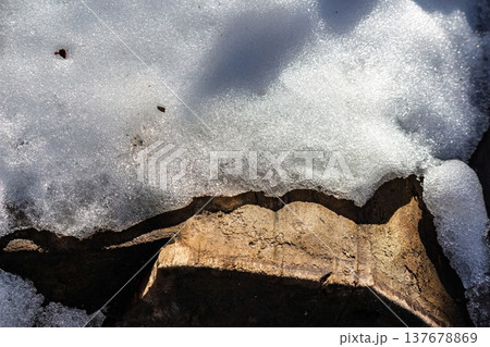 Close-up of sparkling, slushy snow melting on a rugged tree stump. Intricate textures of ice and aged wood reveal the subtle beauty of early spring thaw Close-up of sparkling, slushy snow melting on a rugged tree stump. Intricate textures of ice and aged wood reveal the subtle beauty of early spring thaw 137678869
