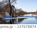 Bare branches overhang a partially frozen river edge with melting snow under bright spring sky 137678874