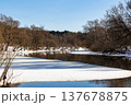 Melting river ice with open dark water reflecting bare branches under a bright blue spring sky 137678875