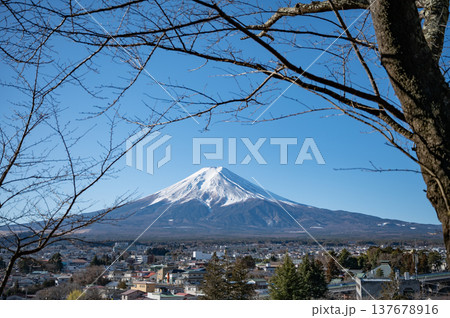 【山梨】新倉山浅間公園から見た富士山 137678916