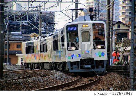 桜を眺める… 臨時特急【スカイツリートレイン】634系 137678948