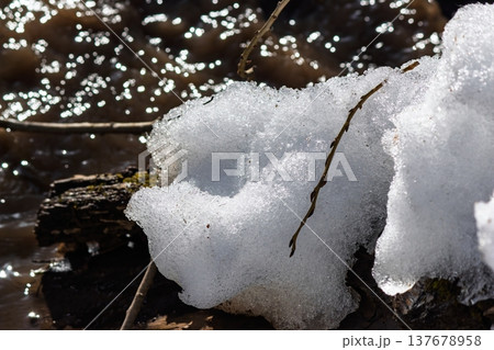 Sparkling early spring snow melts by a turbulent, muddy stream. Sunny day reveals nature's fresh thaw and lively water flow 137678958