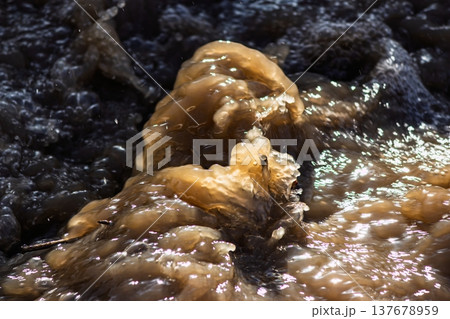 Turbulent muddy stream water vigorously churns with shimmering sunlight reflections. Dynamic spring flow creating a compelling natural abstract 137678959
