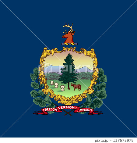 Vermont state square flag. Part of The United States of America. Clean design for print, web, or educational use. Vector illustration. 137678979