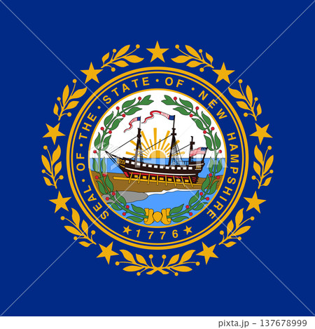 New Hampshire state square flag. Part of The United States of America. Clean design for print, web, or educational use. Vector illustration. 137678999