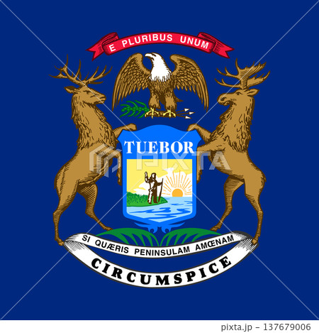 Michigan state square flag. Part of The United States of America. Clean design for print, web, or educational use. Vector illustration. 137679006