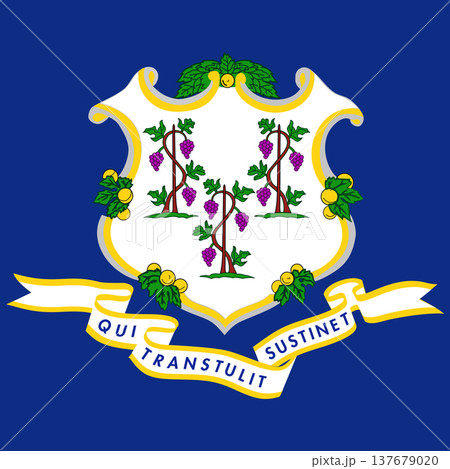 Connecticut state square flag. Part of The United States of America. Clean design for print, web, or educational use. Vector illustration. 137679020