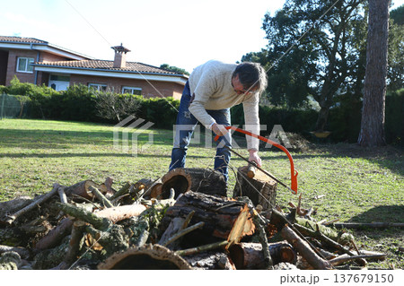 Outdoor Wood Cutting Activity in Backyard 137679150