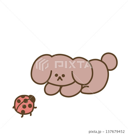 てんとう虫と犬 137679452