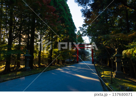 秋の鹿児島県霧島市 紅葉の霧島神宮 参道と二の鳥居 秋の鹿児島県霧島市 紅葉の霧島神宮 参道と二の鳥居 137680071