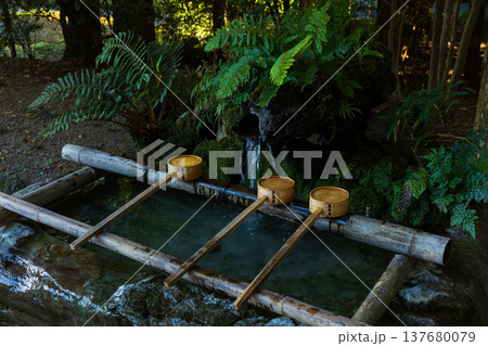 秋の鹿児島県霧島市 紅葉の霧島神宮 手水舎 秋の鹿児島県霧島市 紅葉の霧島神宮 手水舎 137680079