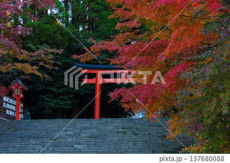 秋の鹿児島県霧島市 紅葉の霧島神宮 三の鳥居 秋の鹿児島県霧島市 紅葉の霧島神宮 三の鳥居 137680088