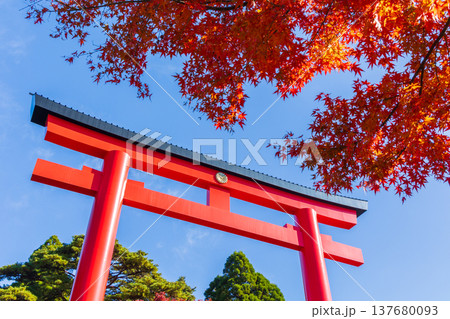 秋の鹿児島県霧島市　紅葉の霧島神宮　一の鳥居 137680093