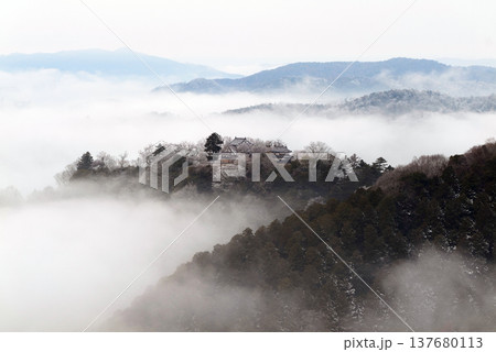 冬の雲海と備中松山城(天空の山城)25538 冬の雲海と備中松山城(天空の山城)25538 137680113