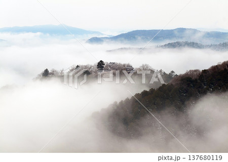 冬の雲海と備中松山城(天空の山城)25555 冬の雲海と備中松山城(天空の山城)25555 137680119
