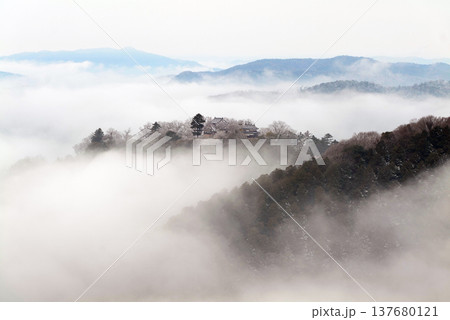 冬の雲海と備中松山城（天空の山城）25557 137680121