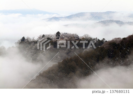冬の雲海と備中松山城(天空の山城)25587 冬の雲海と備中松山城(天空の山城)25587 137680131