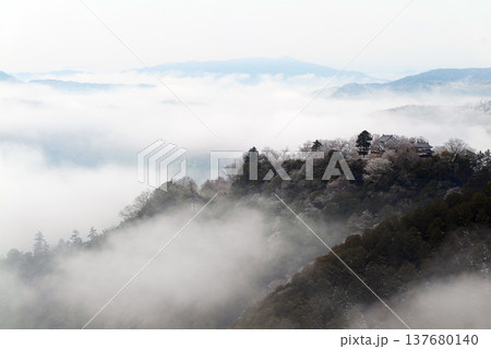冬の雲海と備中松山城（天空の山城）25614 137680140