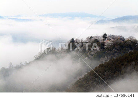 冬の雲海と備中松山城（天空の山城）25616 137680141