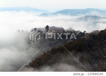 冬の雲海と備中松山城（天空の山城）25625 137680145
