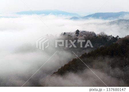冬の雲海と備中松山城（天空の山城）25629 137680147