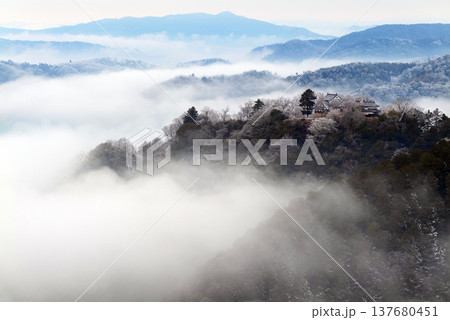 冬の雲海と備中松山城（天空の山城）25427 137680451