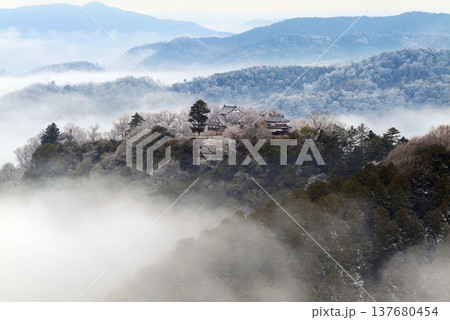 冬の雲海と備中松山城（天空の山城）25433 137680454