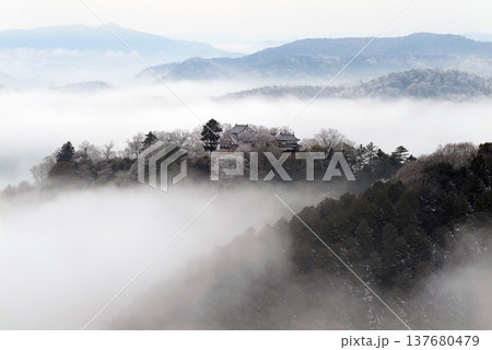 冬の雲海と備中松山城(天空の山城)25513 冬の雲海と備中松山城(天空の山城)25513 137680479