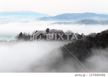 冬の雲海と備中松山城（天空の山城）25516 137680480