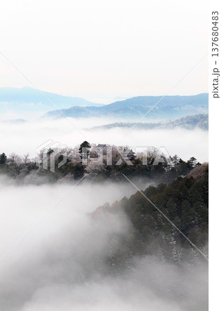 冬の雲海と備中松山城(天空の山城)25523 冬の雲海と備中松山城(天空の山城)25523 137680483