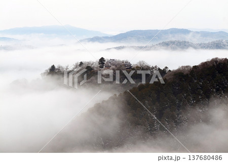 冬の雲海と備中松山城(天空の山城)25531 冬の雲海と備中松山城(天空の山城)25531 137680486