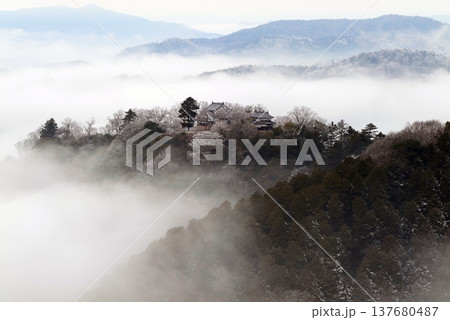 冬の雲海と備中松山城(天空の山城)25534 冬の雲海と備中松山城(天空の山城)25534 137680487