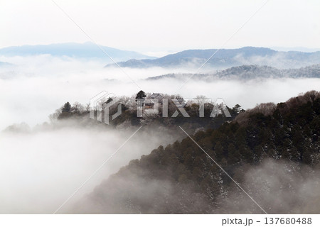 冬の雲海と備中松山城(天空の山城)25536 冬の雲海と備中松山城(天空の山城)25536 137680488