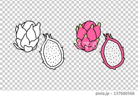 色ありと白黒のドラゴンフルーツのイラストセット 色ありと白黒のドラゴンフルーツのイラストセット 137680566