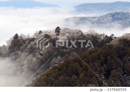 冬の雲海と備中松山城（天空の山城）25261 137680595