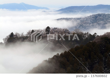 冬の雲海と備中松山城（天空の山城）25285 137680602