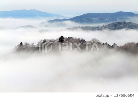 冬の雲海と備中松山城（天空の山城）25317 137680604