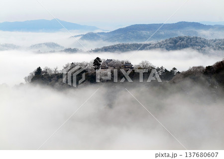 冬の雲海と備中松山城（天空の山城）25326 137680607