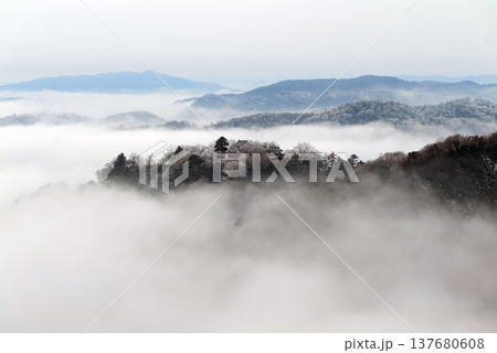 冬の雲海と備中松山城(天空の山城)25327 冬の雲海と備中松山城(天空の山城)25327 137680608