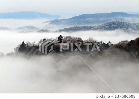 冬の雲海と備中松山城(天空の山城)25329 冬の雲海と備中松山城(天空の山城)25329 137680609
