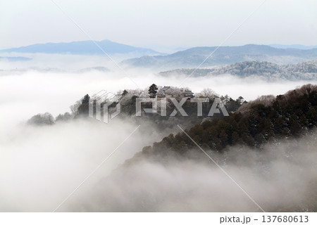 冬の雲海と備中松山城（天空の山城）25342 137680613