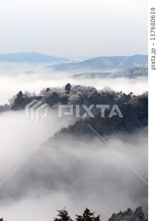 冬の雲海と備中松山城（天空の山城）25354 137680619