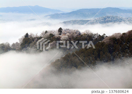 冬の雲海と備中松山城（天空の山城）25365 137680624