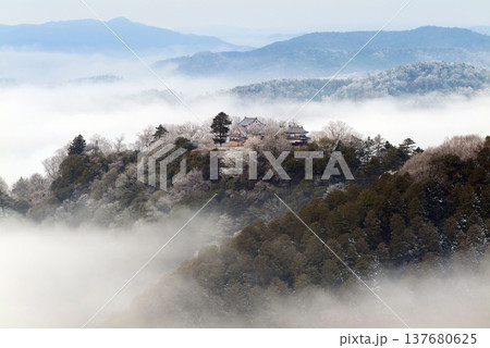 冬の雲海と備中松山城(天空の山城)25369 冬の雲海と備中松山城(天空の山城)25369 137680625
