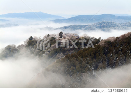 冬の雲海と備中松山城(天空の山城)25388 冬の雲海と備中松山城(天空の山城)25388 137680635
