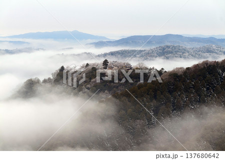 冬の雲海と備中松山城（天空の山城）25404 137680642